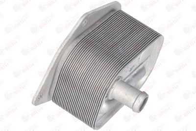RADIATOR ULEI ULEI MOTOR BIRTH 80124 11