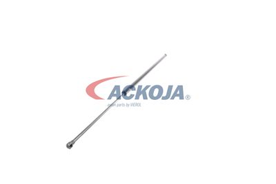 AMORTIZOR PORTBAGAJ ACKOJA A380069 28