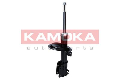 Shock Absorber 2000301