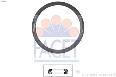FACET Tarpiklis, termostatas