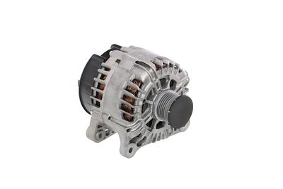 GENERATOR / ALTERNATOR REMANTE 011003000865R 53