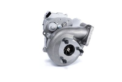 LADER AUFLADUNG BTS Turbo T914130BT 17