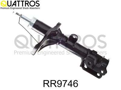 AMORTIZOR DAVID VASCO RR9746 1