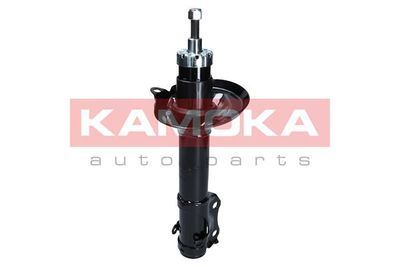 Shock Absorber 2001065