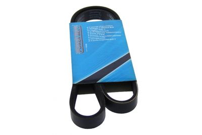CUREA TRANSMISIE CU CANELURI MAPCO 251040