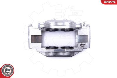 Brake Caliper 50SKV001