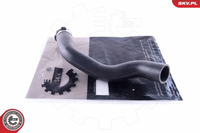 FURTUN EAR SUPRAALIMENTARE