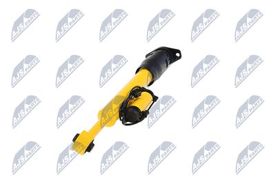 AMORTIZOR NTY ACH123 19