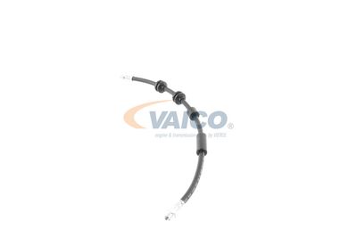 FURTUN FRANA VAICO V202640 12