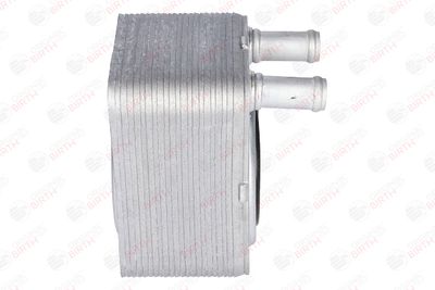 RADIATOR ULEI ULEI MOTOR BIRTH 8917 10