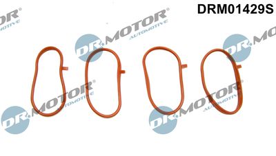 Комплект прокладок, впускной коллектор Dr.Motor Automotive DRM01429S