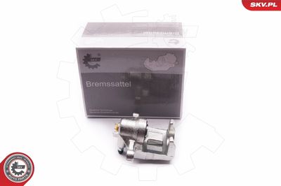 Brake Caliper 23SKV614