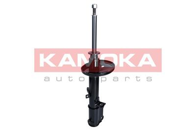 Shock Absorber 2000959