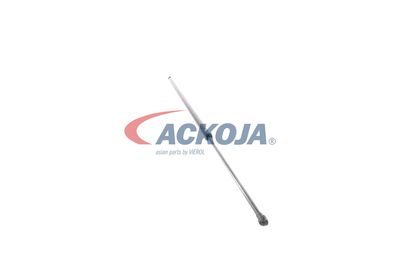 AMORTIZOR PORTBAGAJ ACKOJA A380069 23