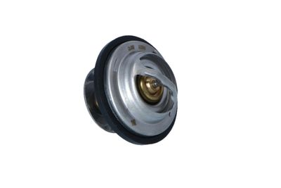 TERMOSTAT LICHID RACIRE NRF 725194 41