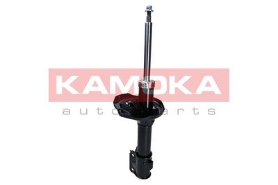 Shock Absorber 2000305