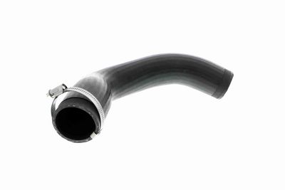 FURTUN EAR SUPRAALIMENTARE