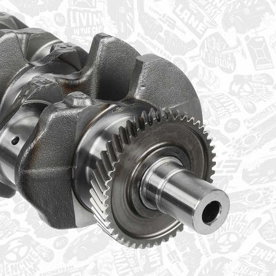 ARBORE COTIT ET ENGINETEAM HK0182 3