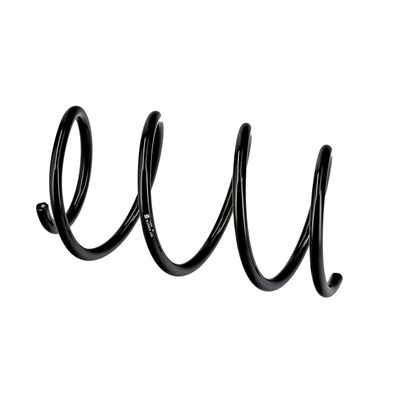 ARC SPIRAL EIBACH R10534 8