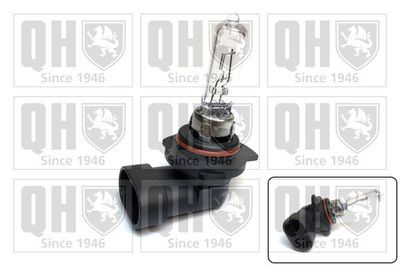 BEC FAR FAZA LUNGA QUINTON HAZELL QBL9012 1