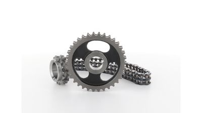STEUERKETTENSATZ SKF VKML81008 19