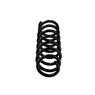 ARC SPIRAL EIBACH R23065 1