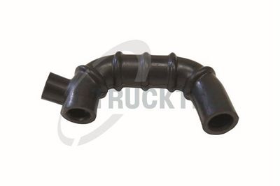 Žarna, karterio alsuoklis