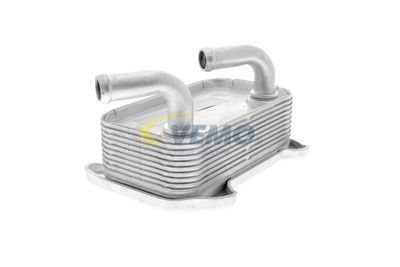 RADIATOR ULEI ULEI MOTOR VEMO V95600010 19