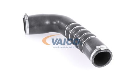 FURTUN EAR SUPRAALIMENTARE VAICO V103794 20