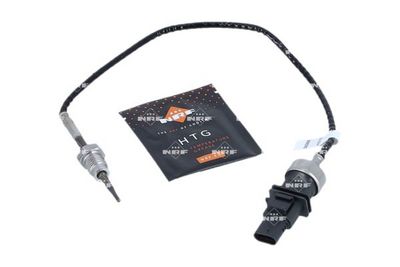 Sensor, Abgastemperatur