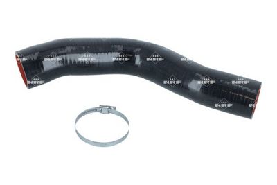 FURTUN EAR SUPRAALIMENTARE