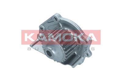 Water Pump, engine cooling T0174