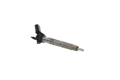 INJECTOR REMANTE 002003001370R 51