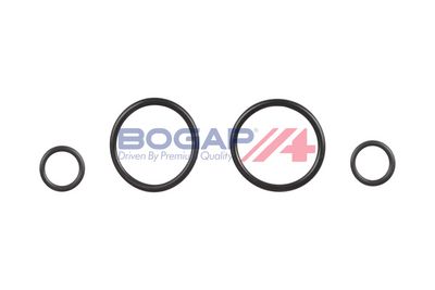 REZERVOR APA RADIATOR BOGAP B4210216 4