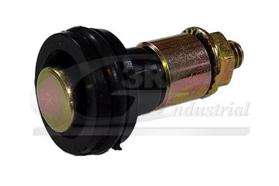 GHIDAJ CU ROLE USA GLISANTA