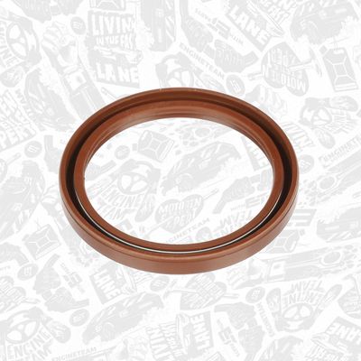 SIMERING ARBORE COTIT ET ENGINETEAM TM0050 2