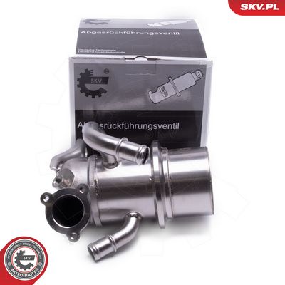 AGR-Ventil ESEN SKV 14SKV243