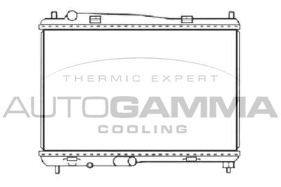 AUTOGAMMA 107415 Крышка радиатора для FORD B-MAX