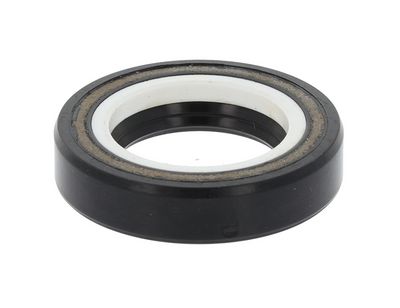 Dichtring