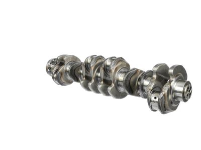 ARBORE COTIT ET ENGINETEAM HK0212 21