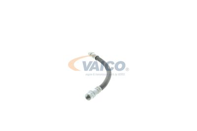 FURTUN FRANA VAICO V220148 14