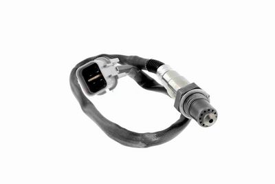 SONDA LAMBDA ACKOJA A53760012 2