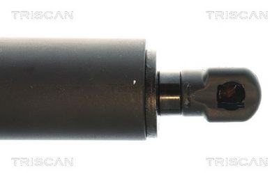 AMORTIZOR PORTBAGAJ TRISCAN 871043314 1
