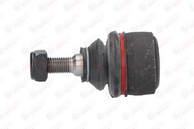 CAP DE BARA BIRTH RD1712 4