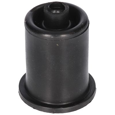 BUCSA ARBORE DE DIRECTIE