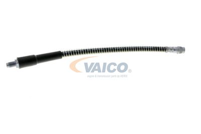 FURTUN FRANA VAICO V464113 57