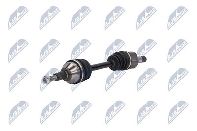 PLANETARA NTY NPWCH034 19