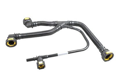 Hose, cylinder head cover ventilation
