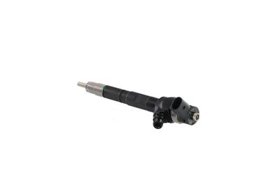 INJECTOR REMANTE 002003000142R 17