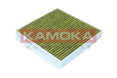 Filter, cabin air 6080114